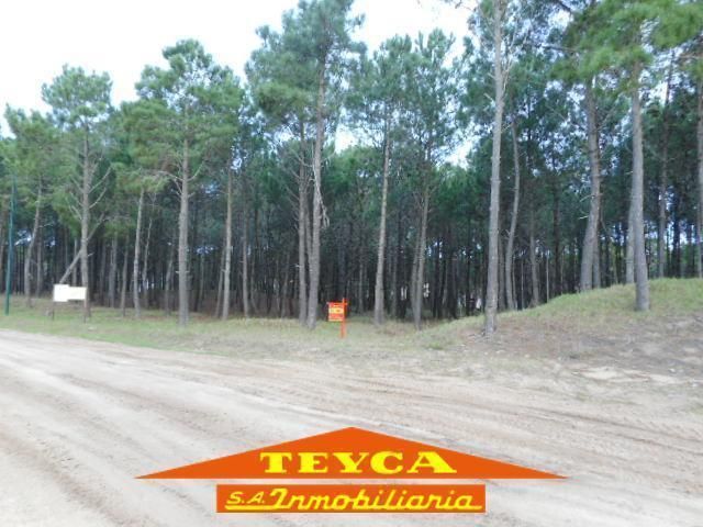 Lote en venta Norte 0 ambientes