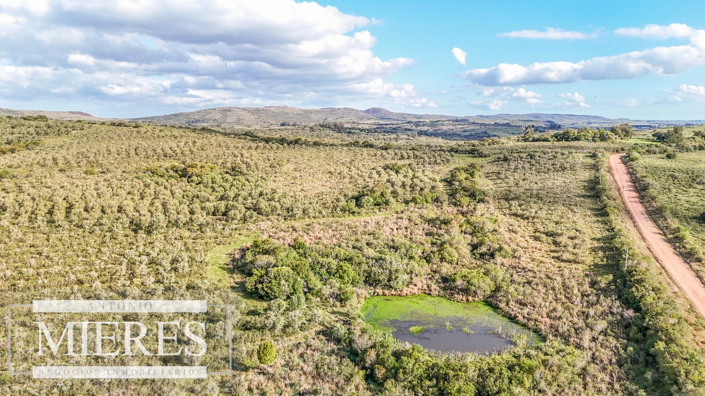 Campo EN VENTA