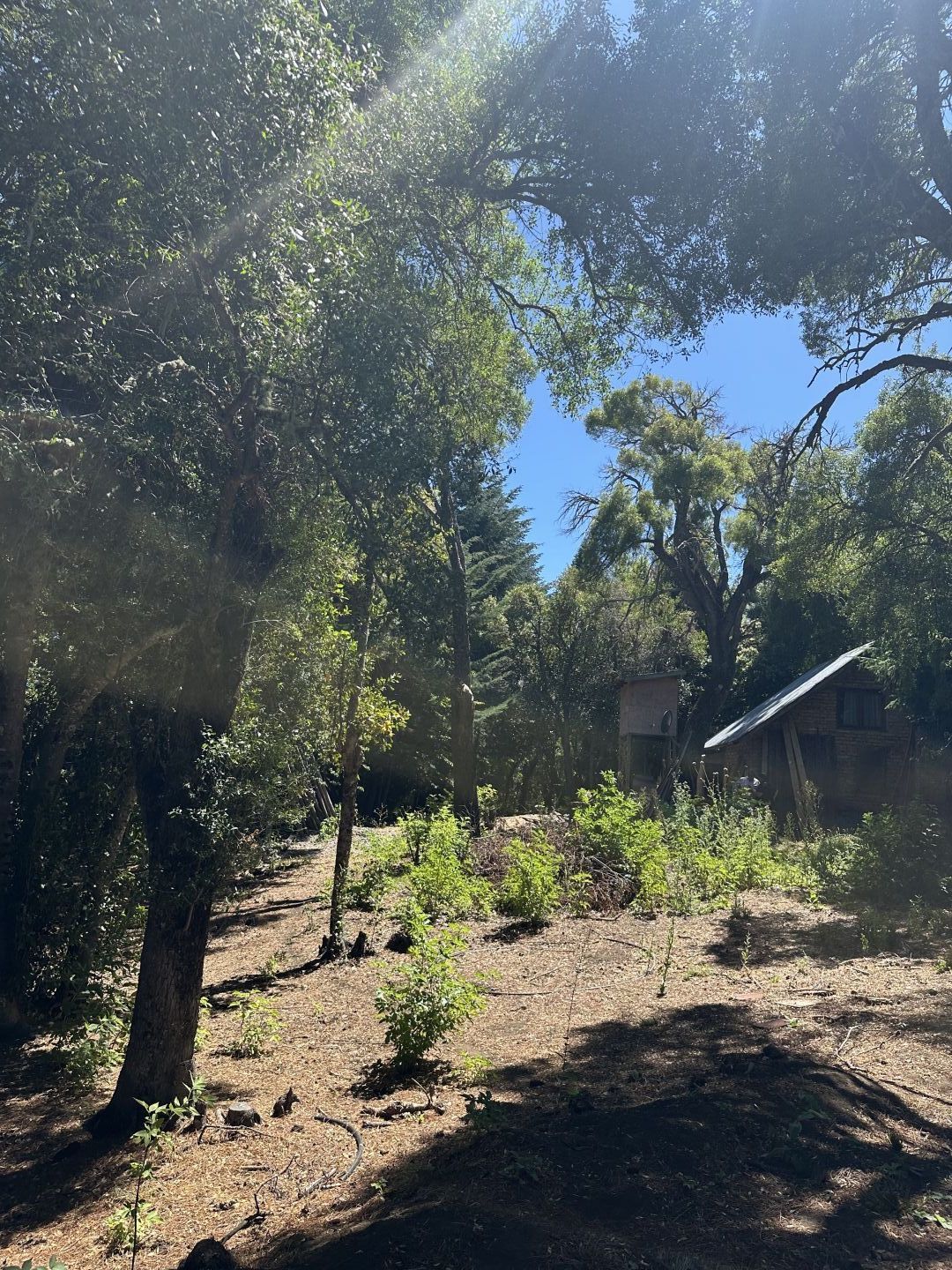 VENTA DE LOTE EN San Martín de los Andes - Camino Lolog - 31