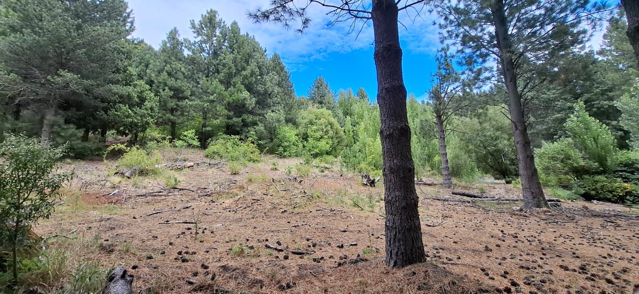 Lote en Venta en Lacar, Neuquen