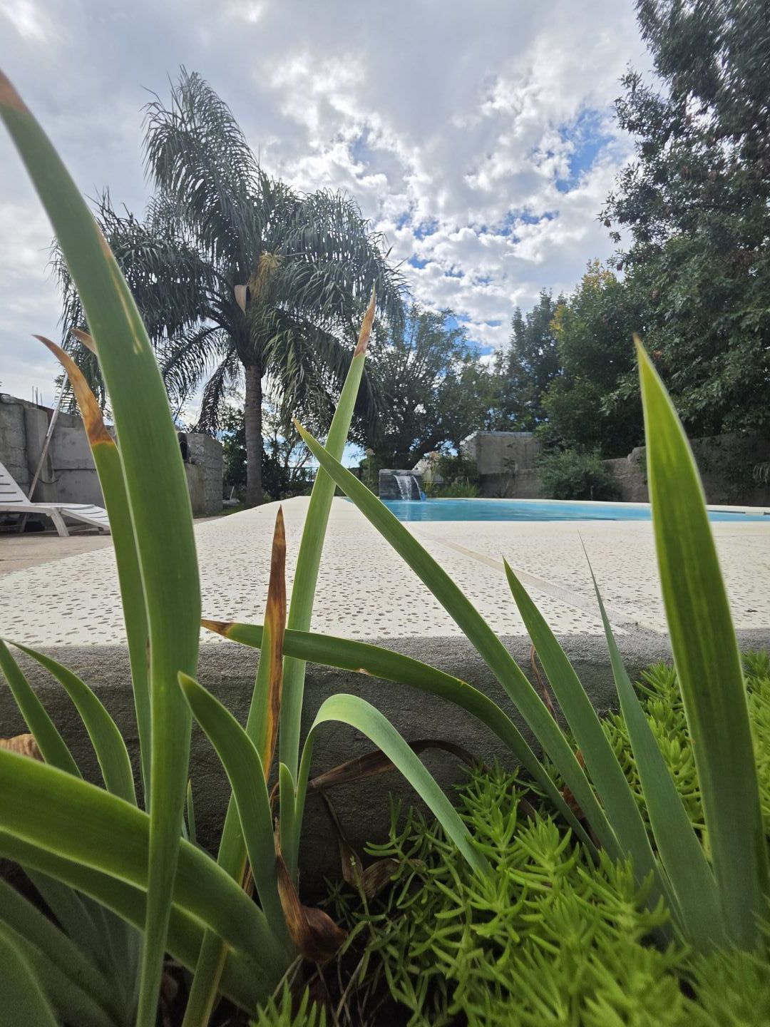 Quinta EN VENTA