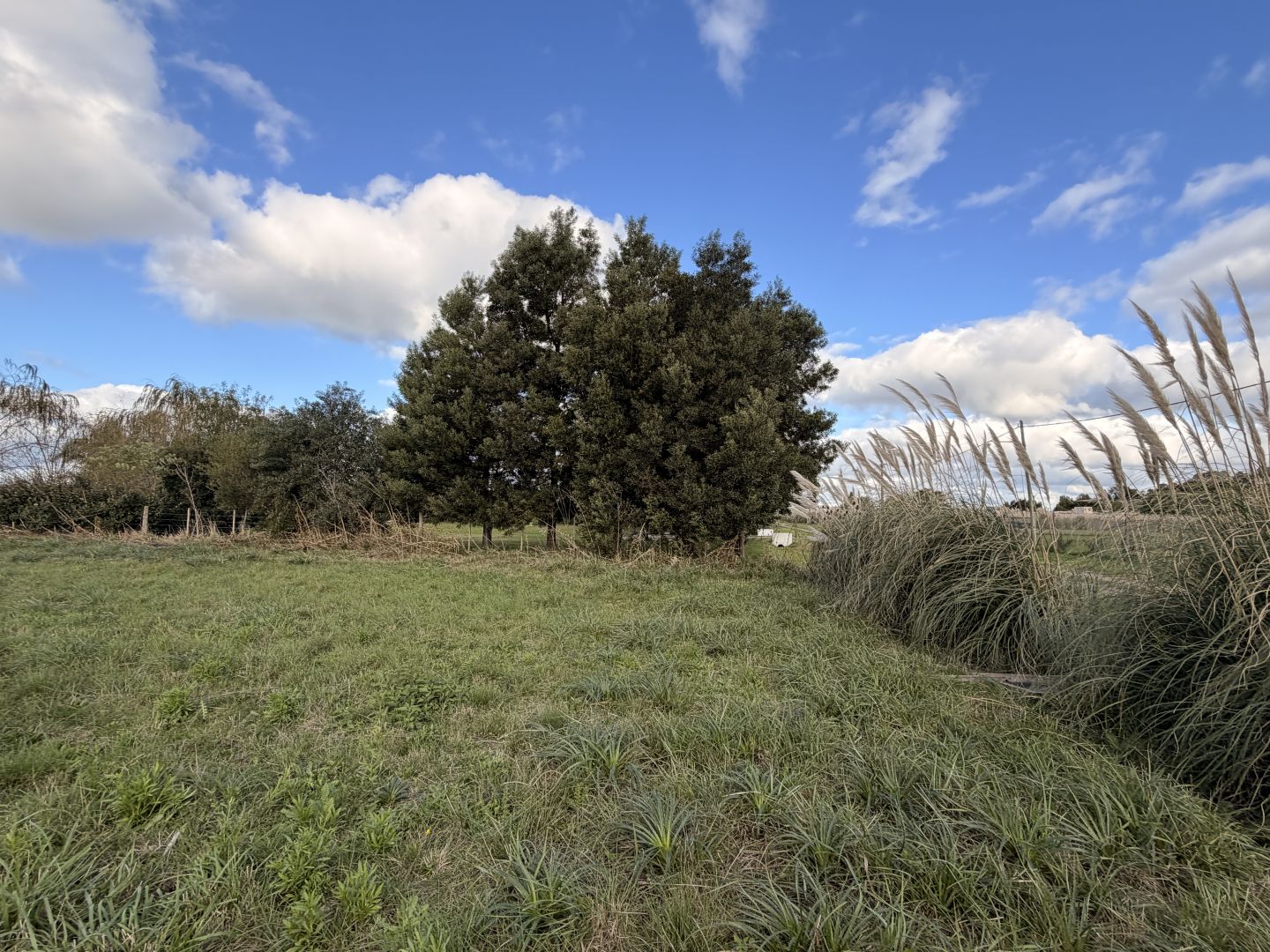Lote EN VENTA