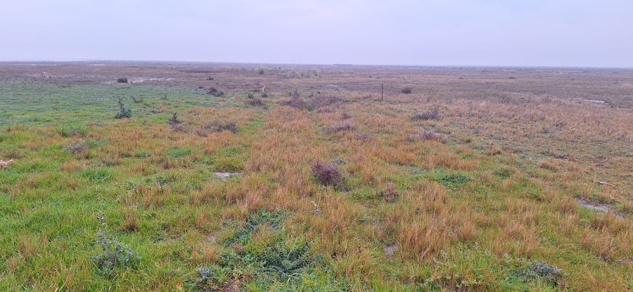 Campo EN ALQUILER