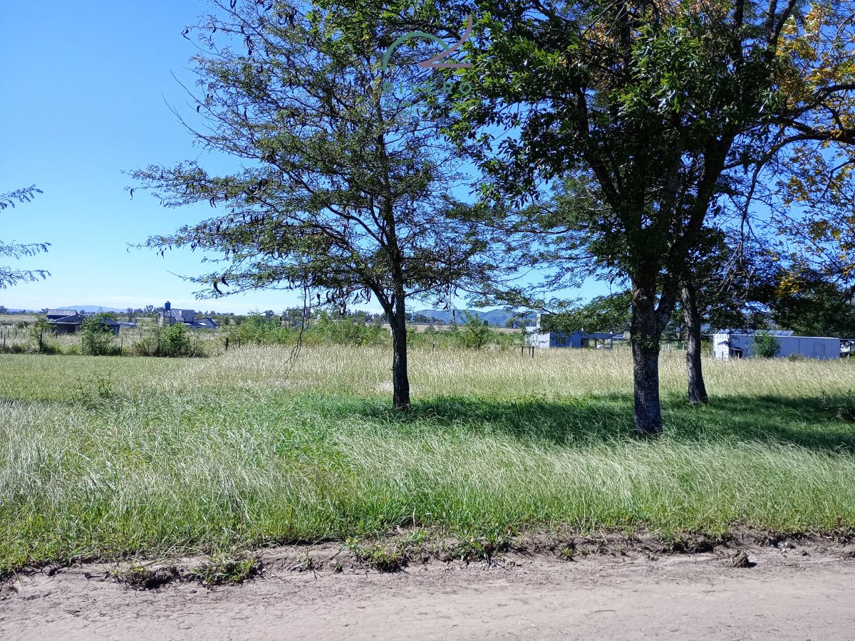 Lote EN VENTA