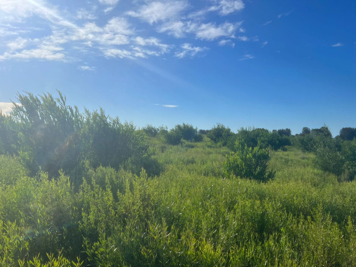 Lote EN VENTA