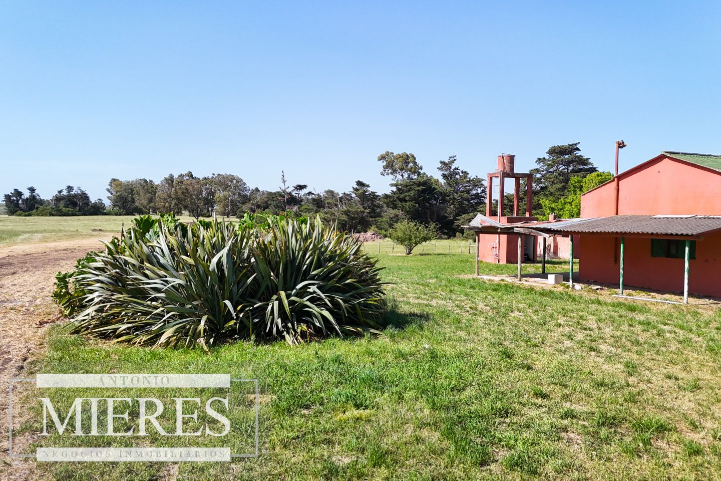 Quinta EN VENTA
