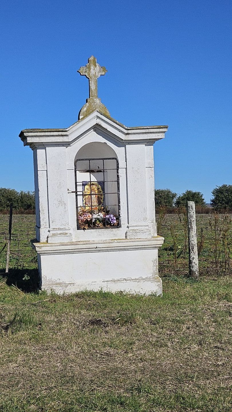 Campo EN VENTA