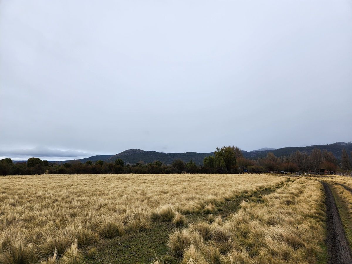Campo EN VENTA