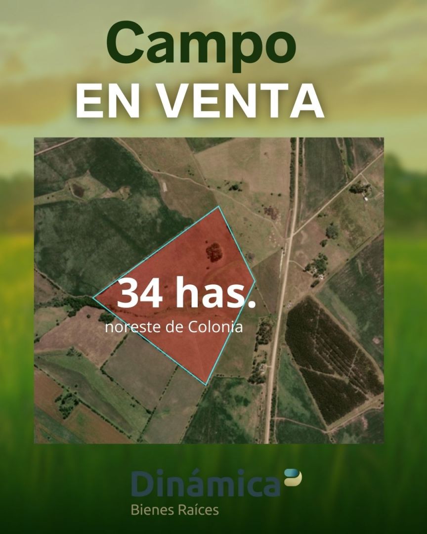 Campo EN VENTA