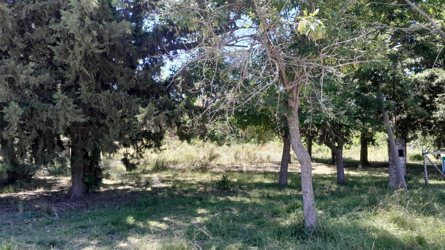 Lote en Venta en Punta Indio, Buenos Aires Interior