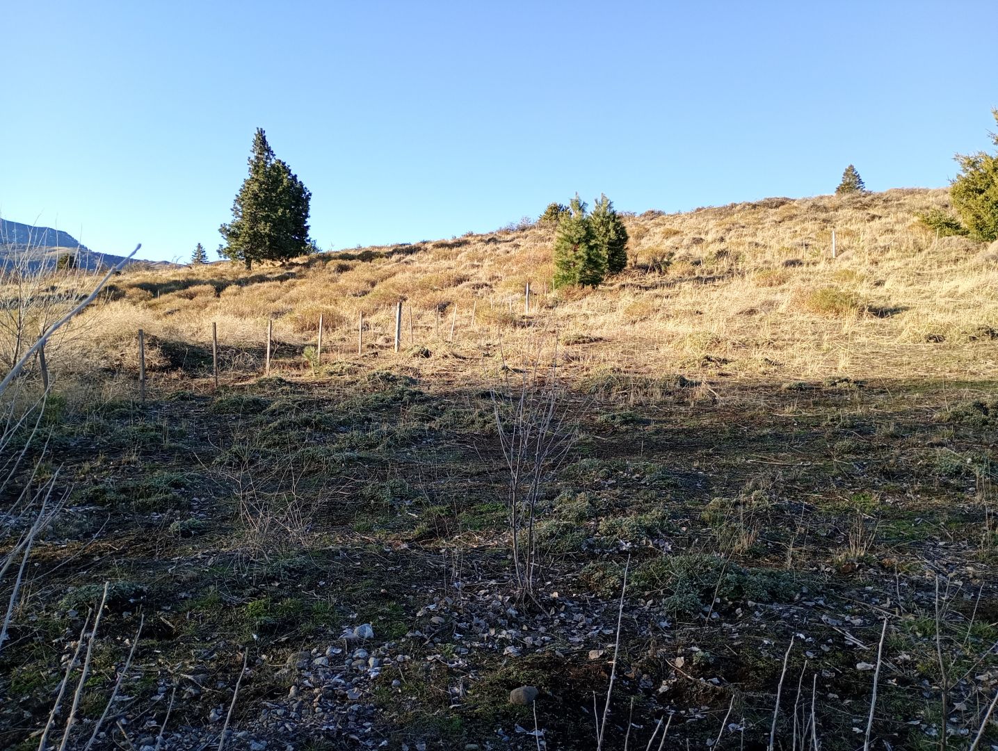 Lote en Venta en Huiliches, Neuquen