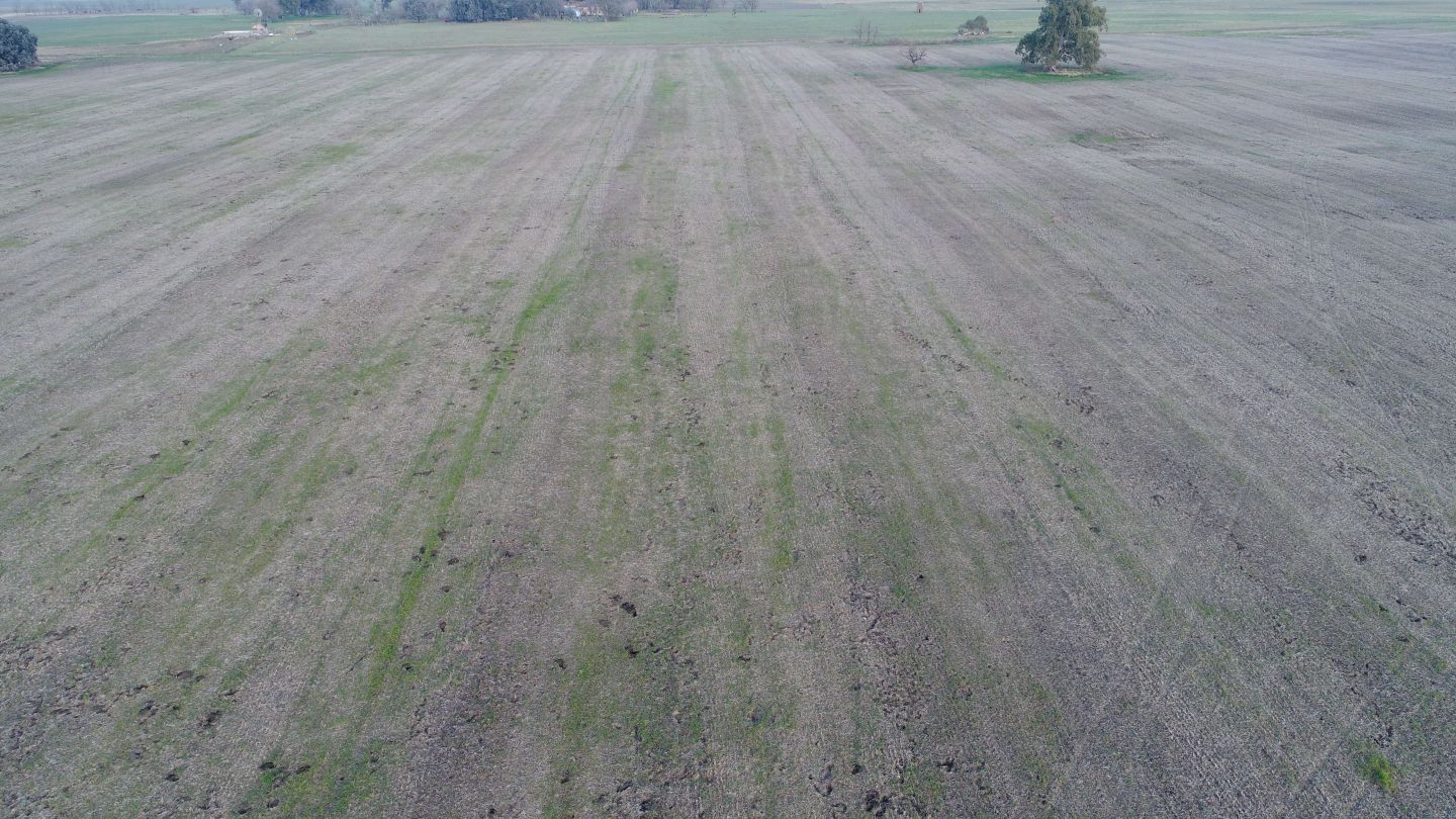 Campo EN VENTA