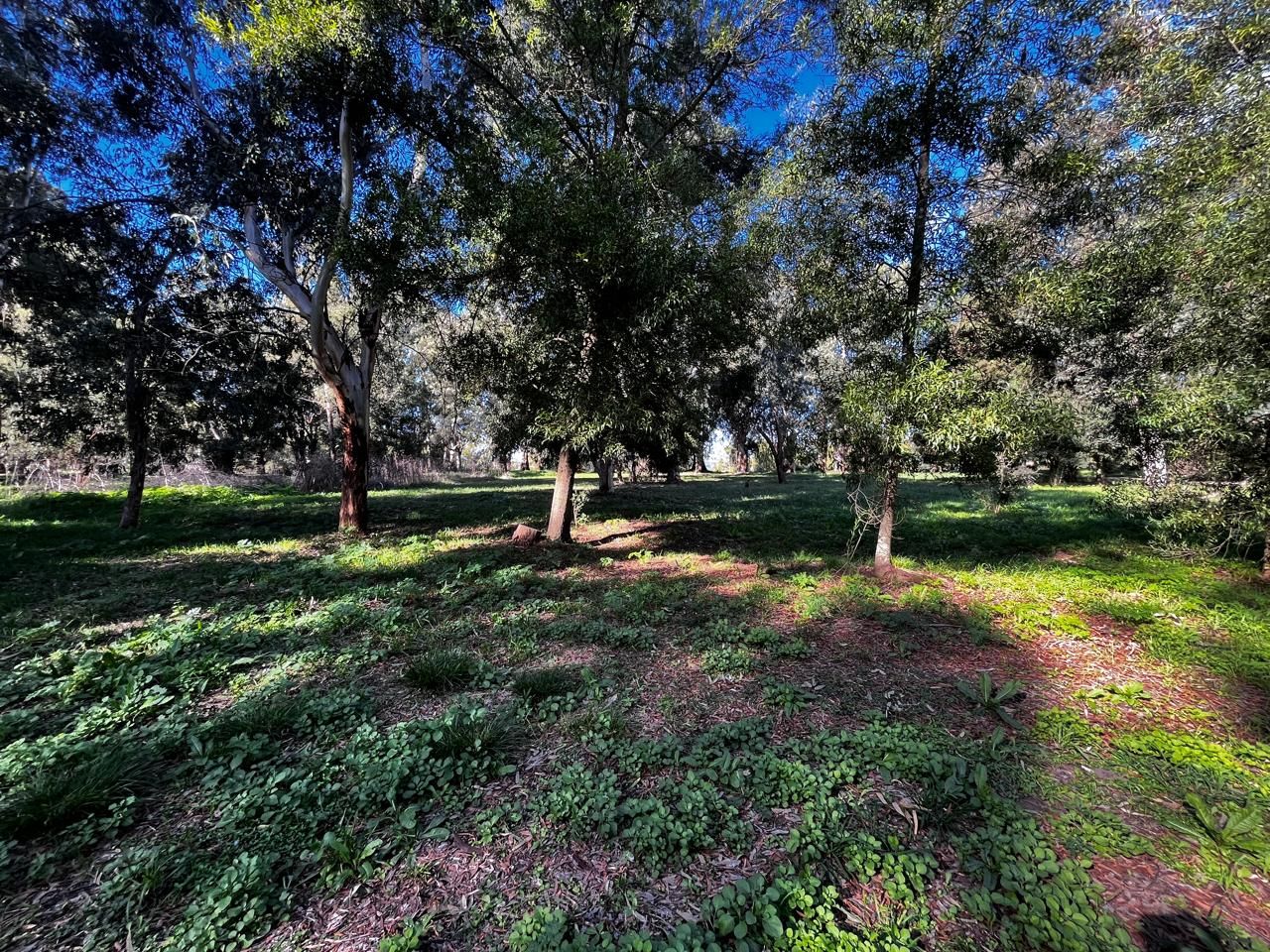 Lote EN VENTA