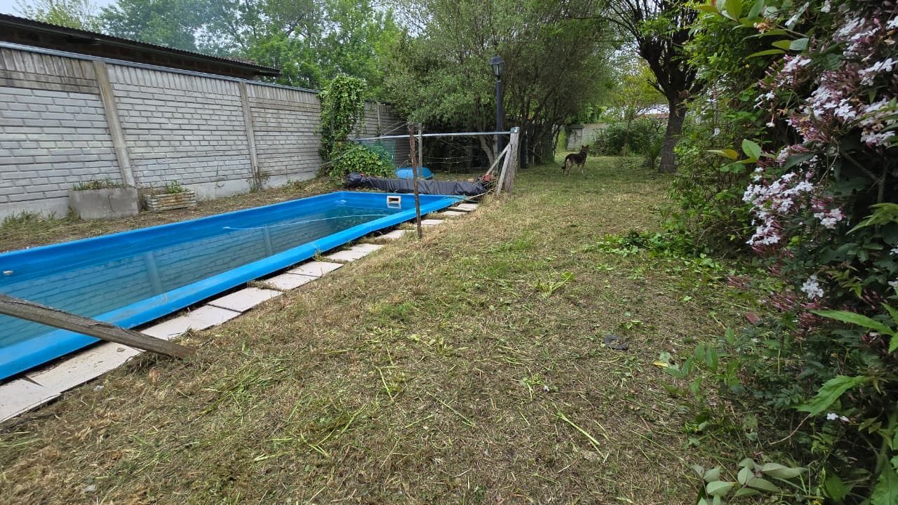 Imagen 25