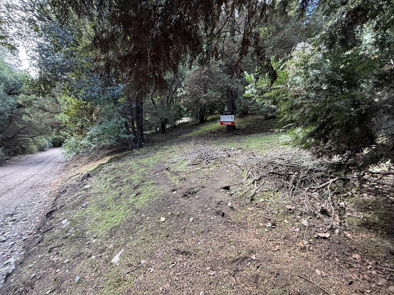 Lote en Venta en San Martin de los Andes, Neuquen