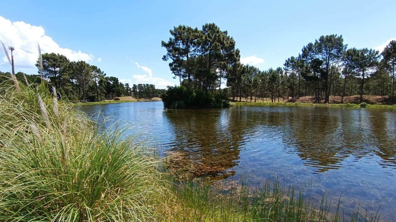 Lote EN VENTA