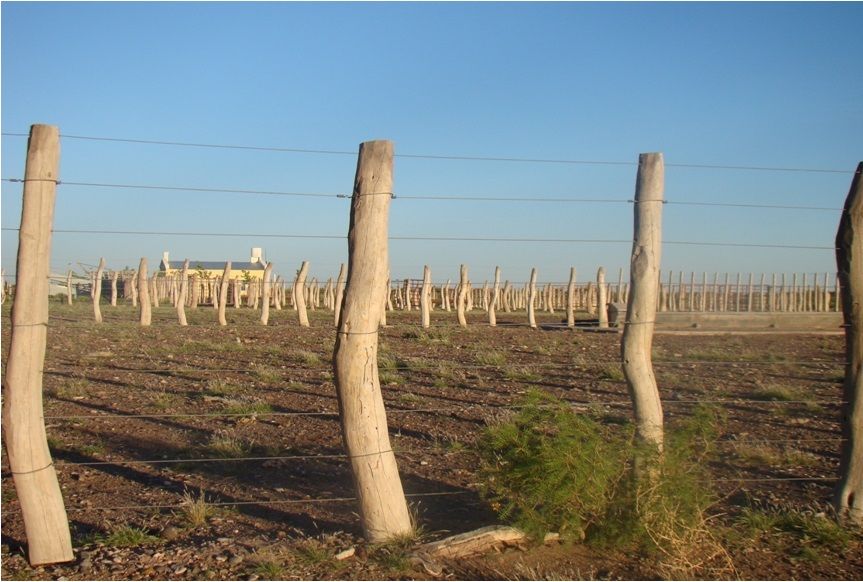 Campo EN VENTA