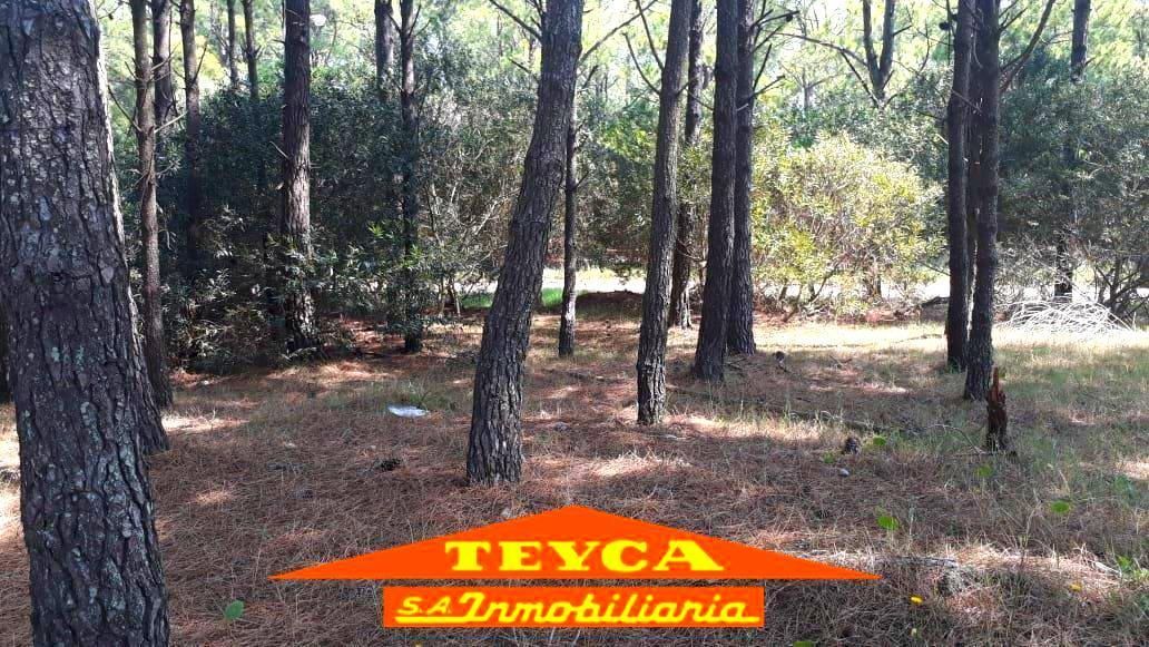Lote en venta Norte 0 ambientes