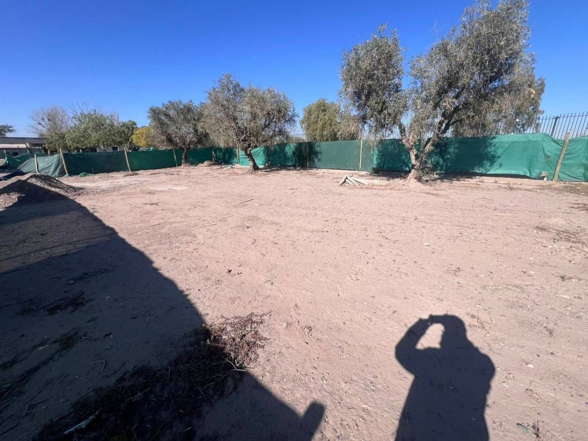 Lote en Venta en Lujan de Cuyo, Mendoza