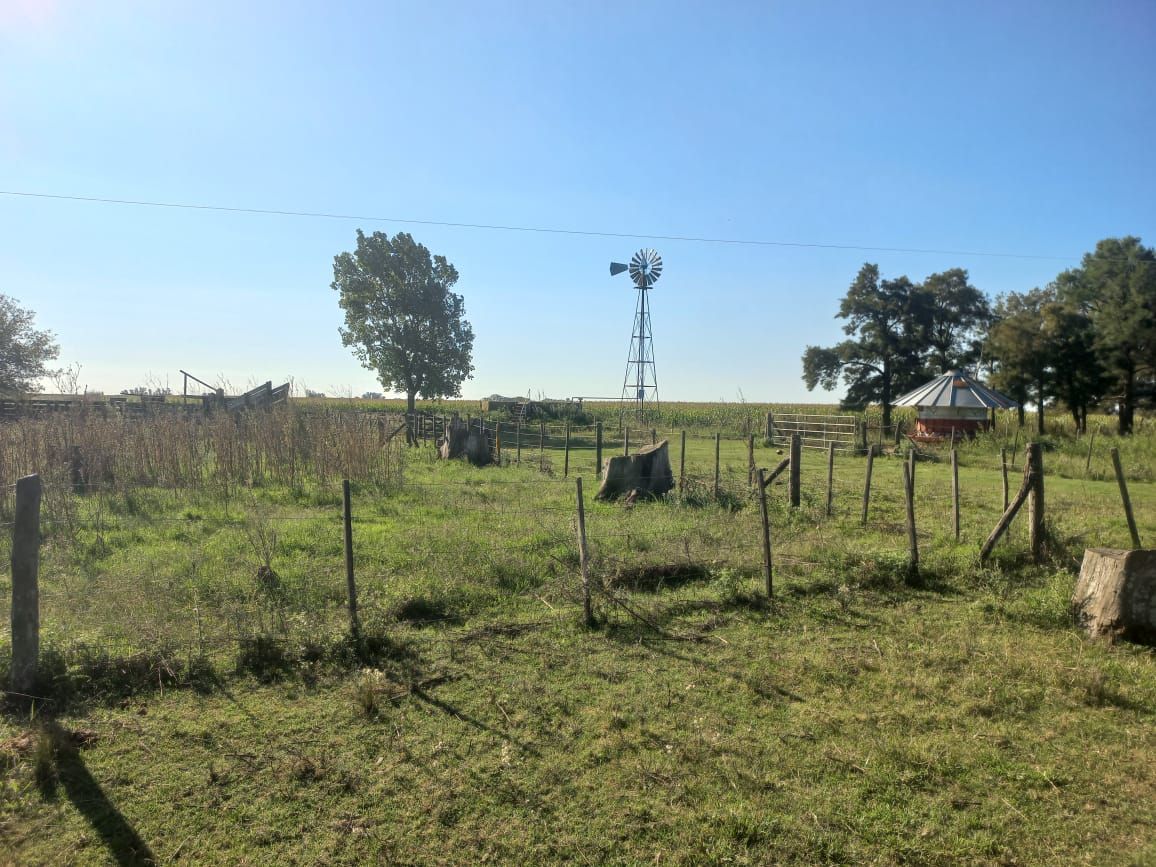 Campo EN VENTA