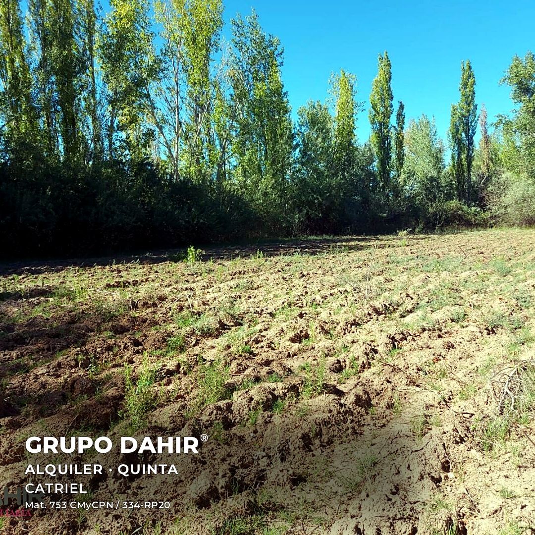 Quinta en Lote 6, Catriel — foto 1