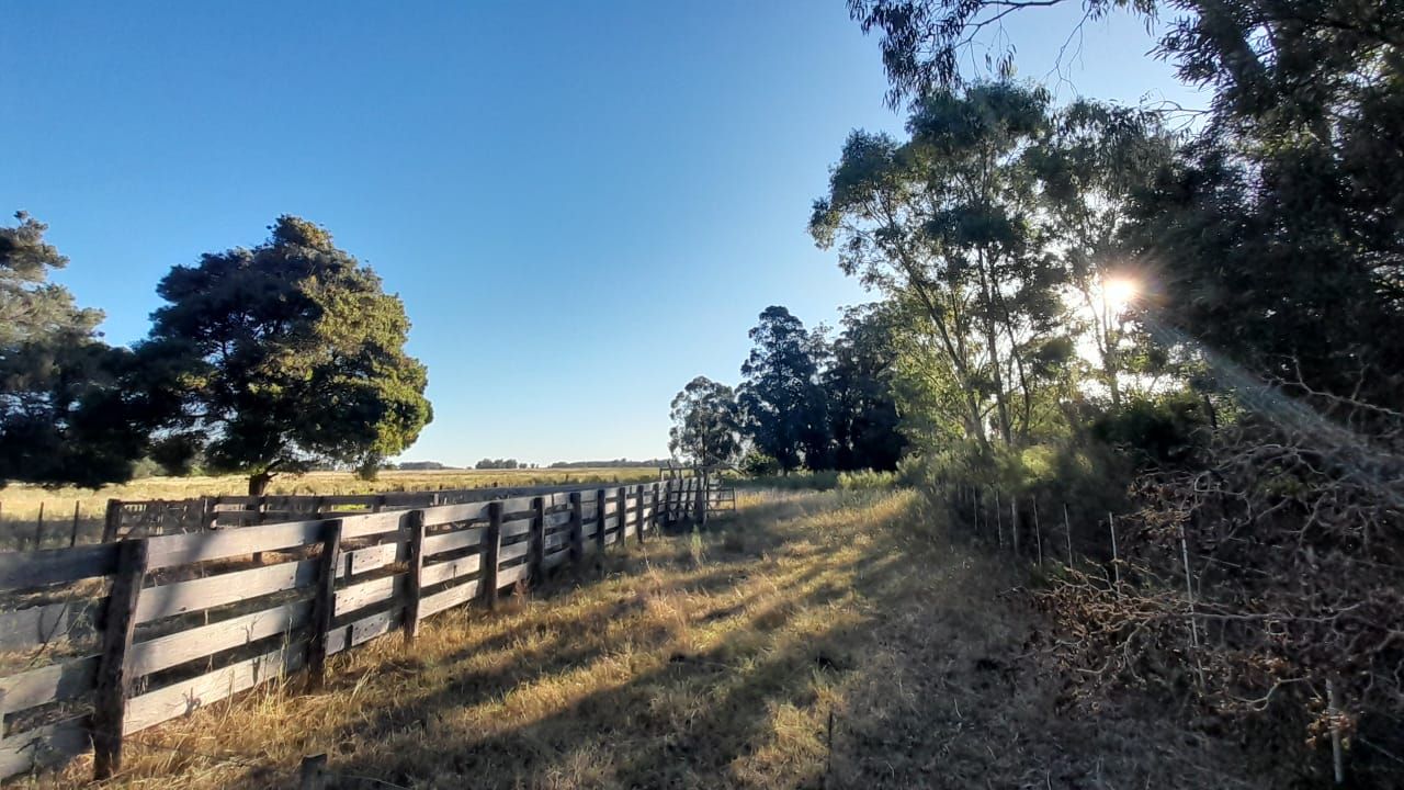 Campo EN VENTA