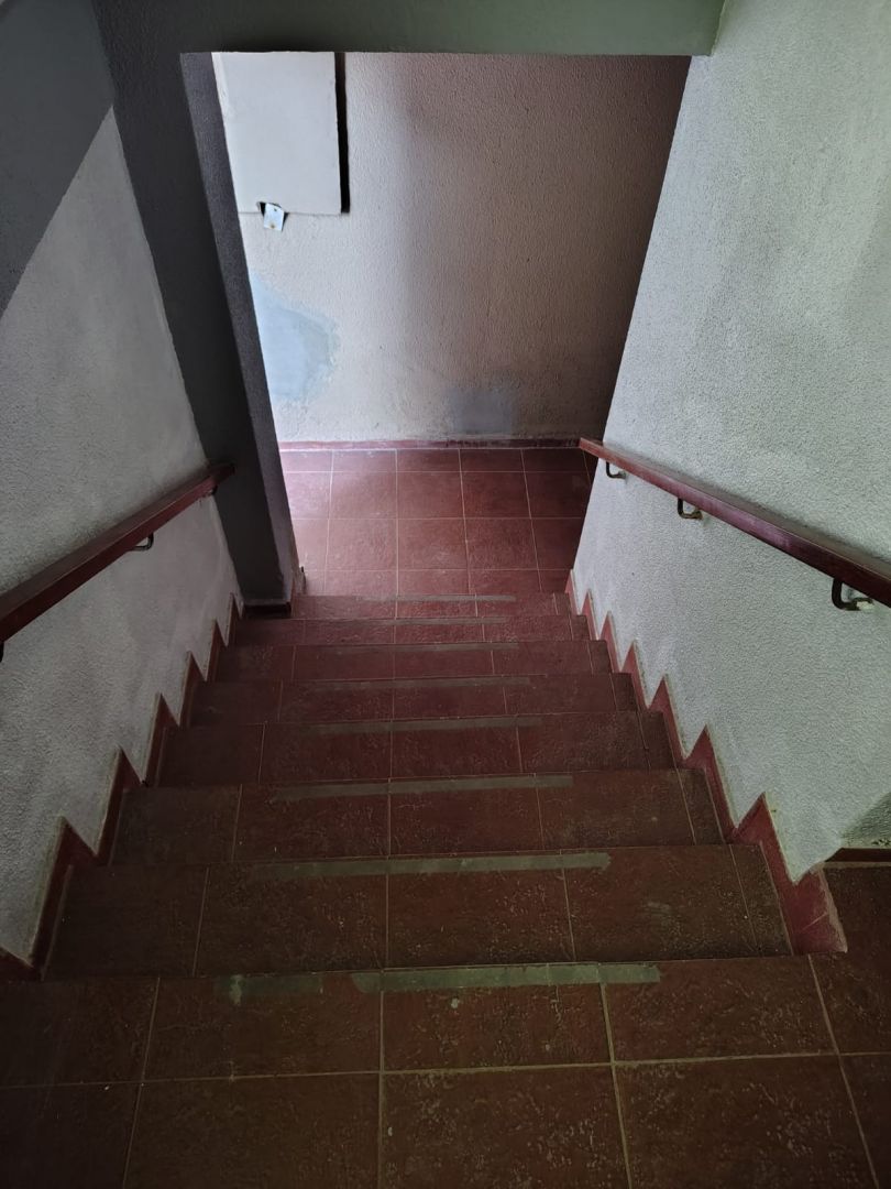 Imagen 5