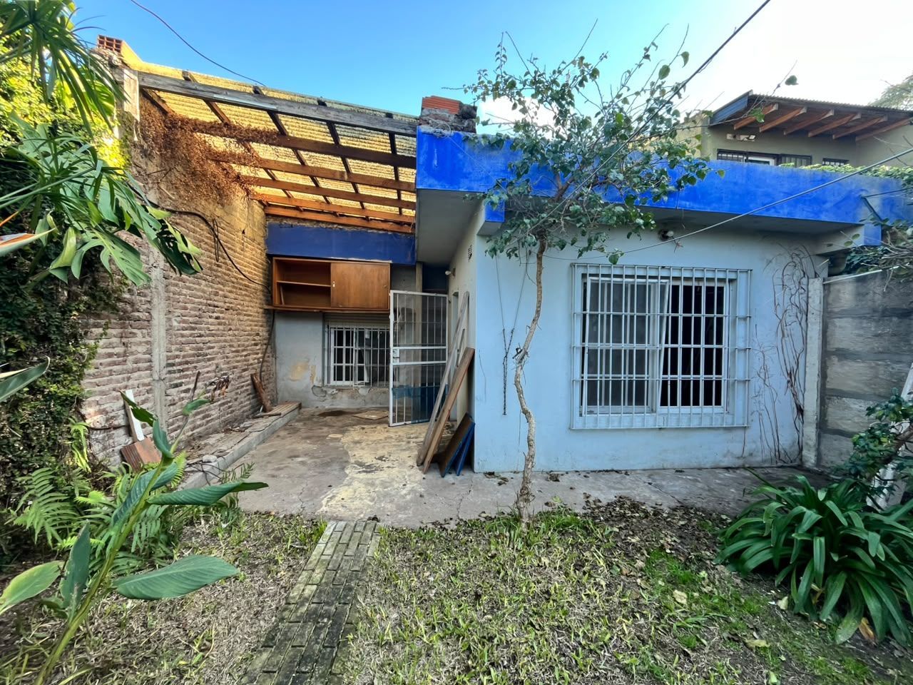 Imagen 5