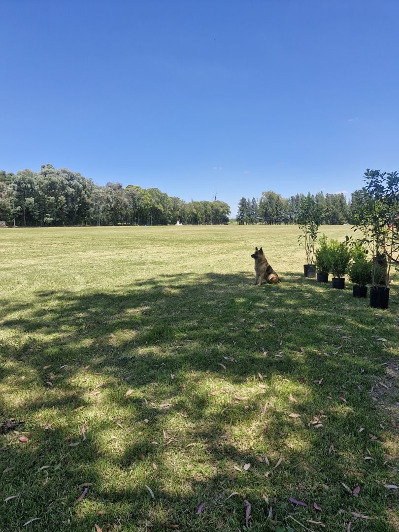 Lote EN VENTA