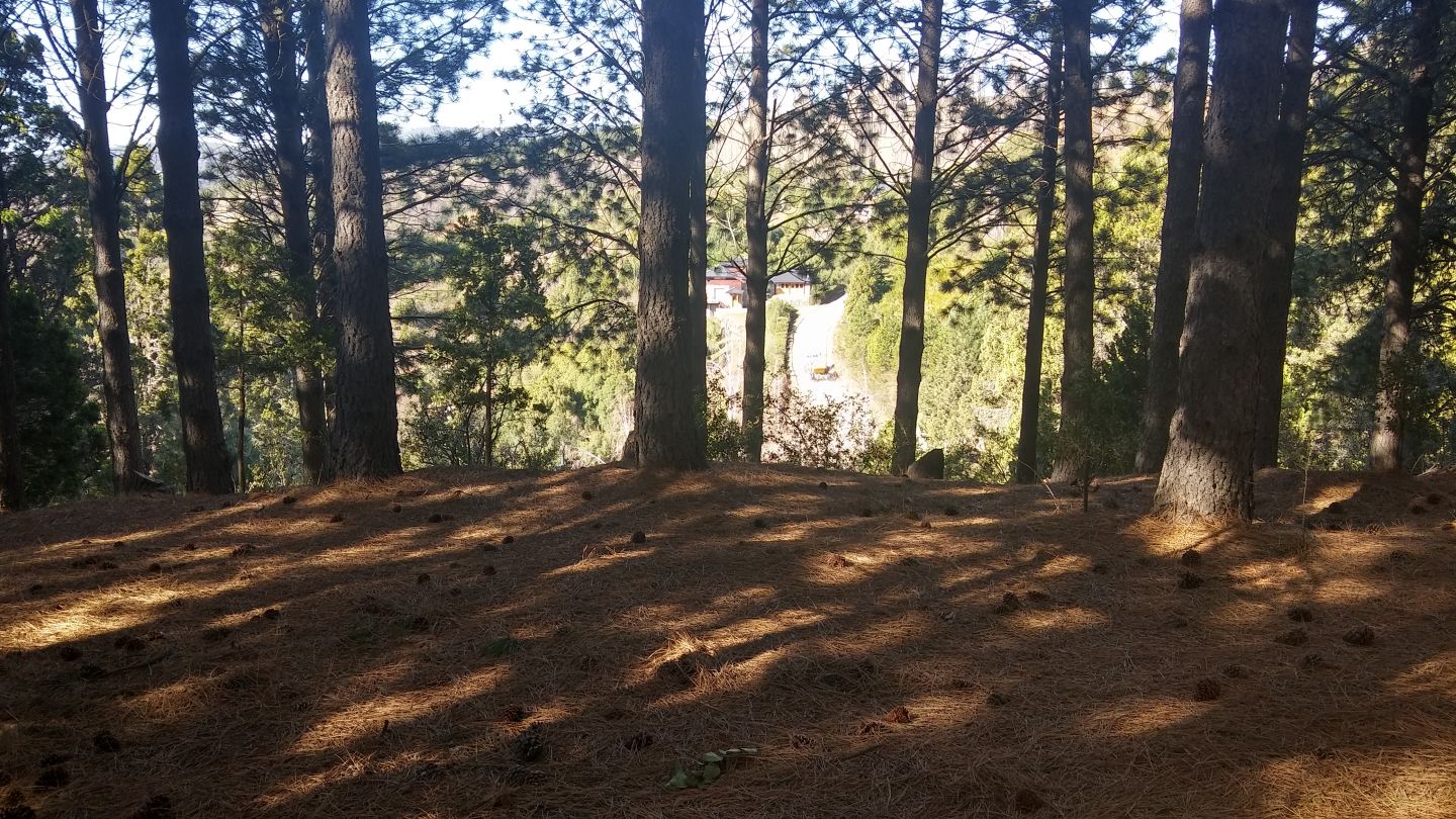 Lote en Venta en San Martin de los Andes, Neuquen