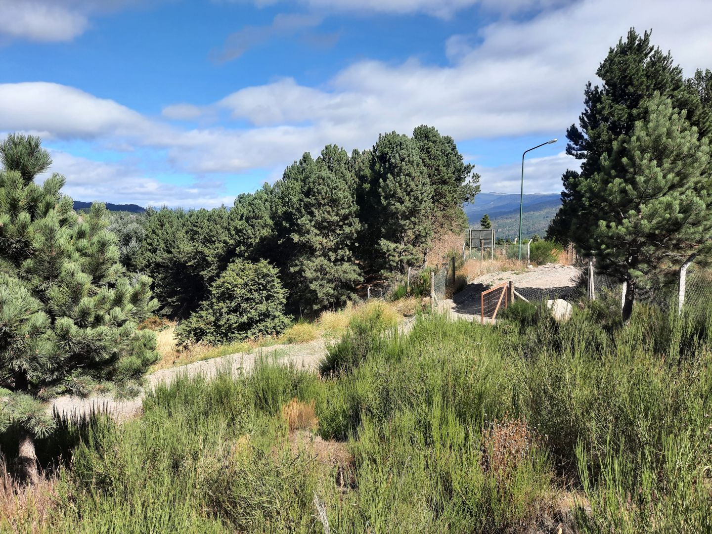 Lote en Venta en San Martin de los Andes, Neuquen