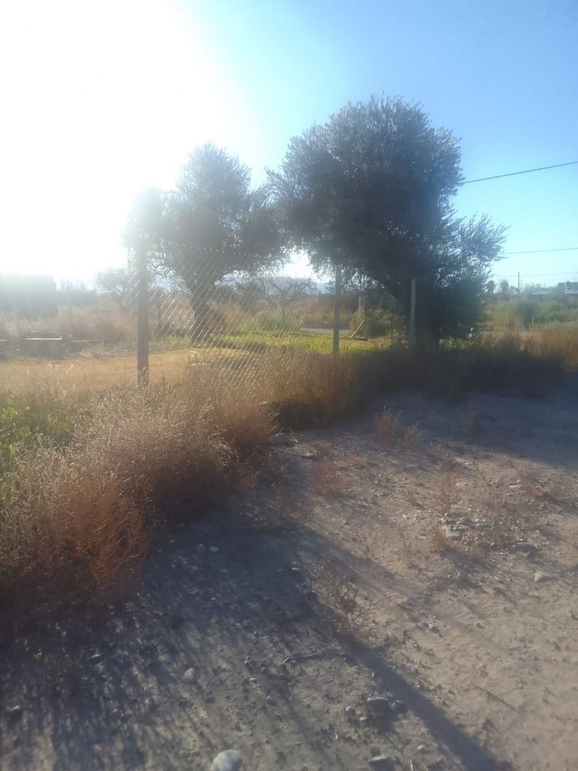 Lote en Venta en Lujan de Cuyo, Mendoza