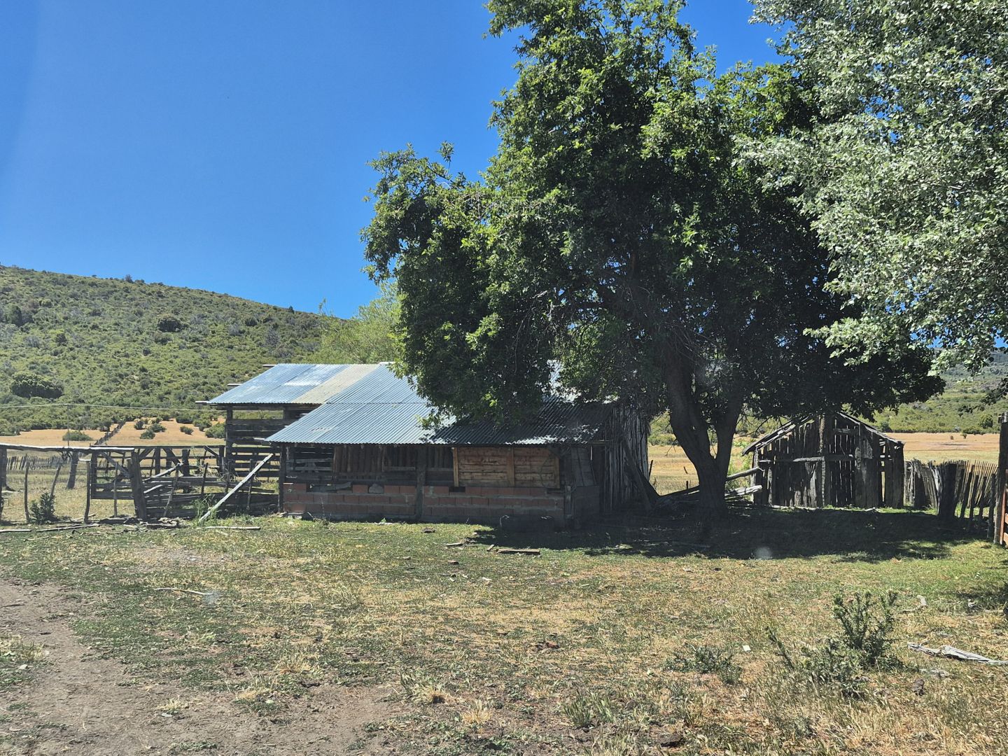 VENTA DE CAMPO EN Cholila - 21