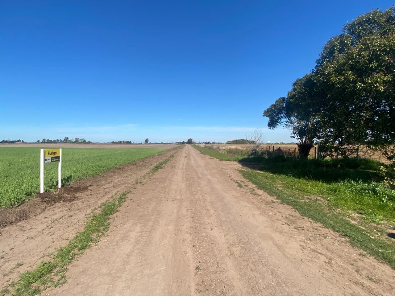 VENTA DE CAMPO EN General Lagos - 2