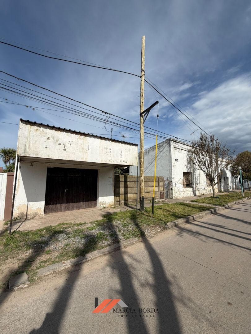 Imagen 3