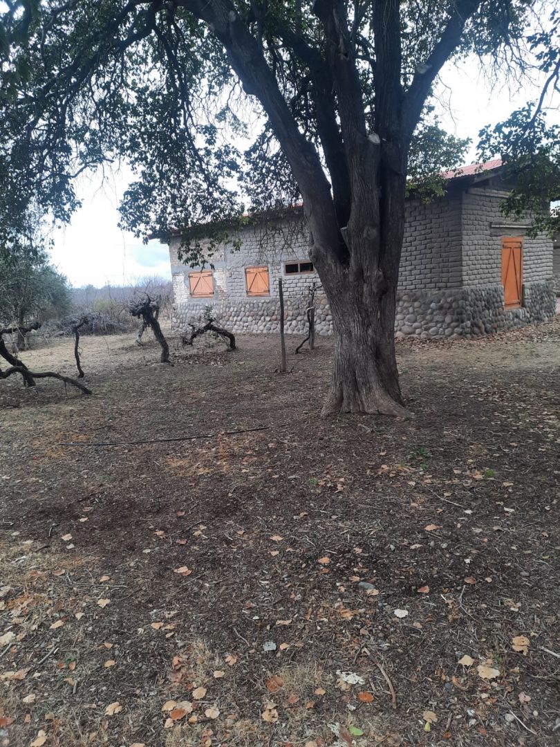 Campo en Venta en Junin, Buenos Aires Interior