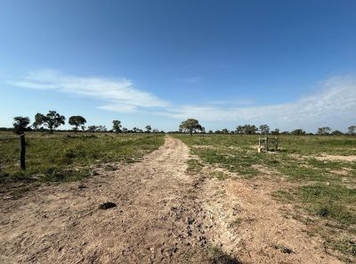 Campo EN VENTA
