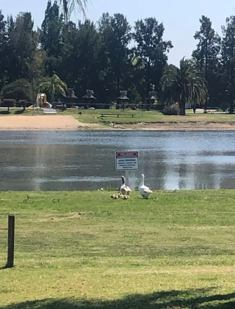 VENTA DE LOTE EN San Vicente - El Lauquen - 9
