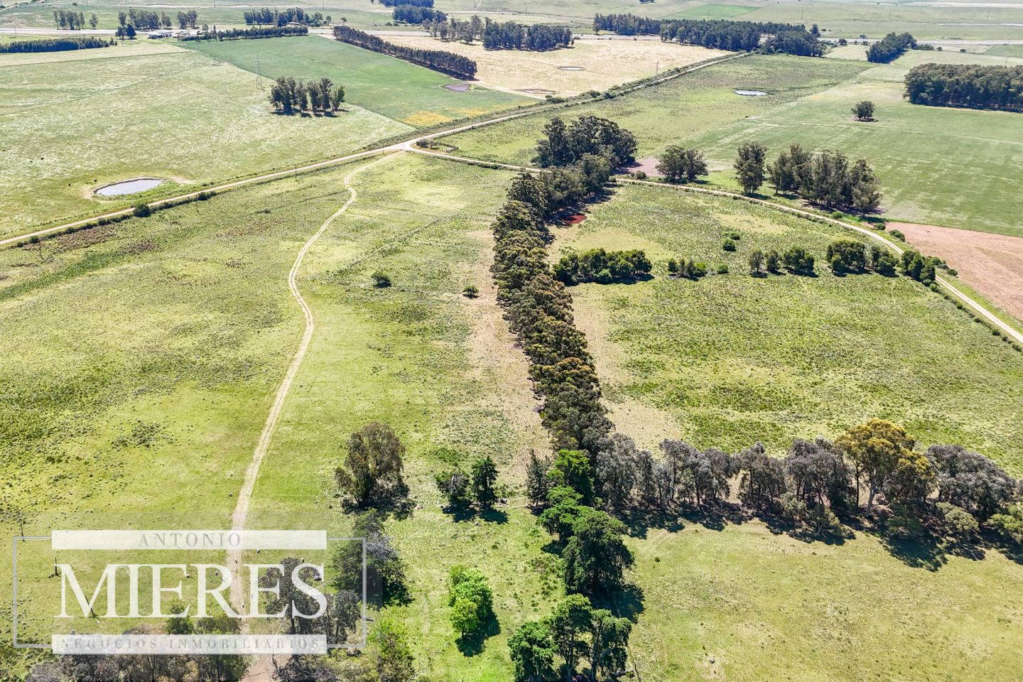 Campo EN VENTA