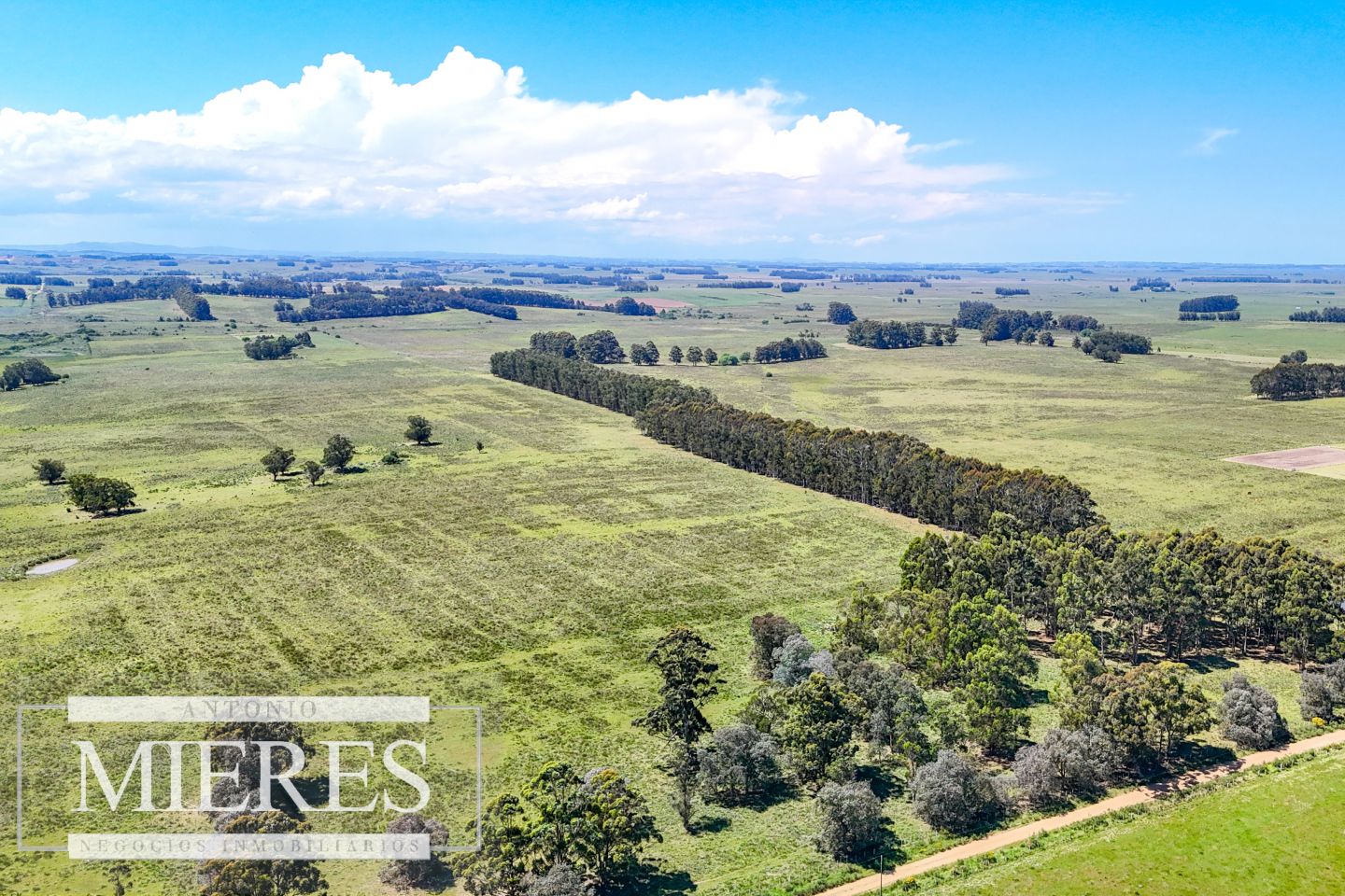 Campo EN VENTA