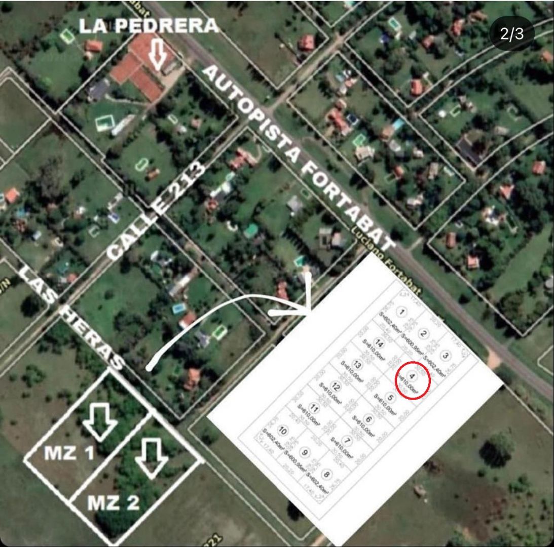 Imagen 6