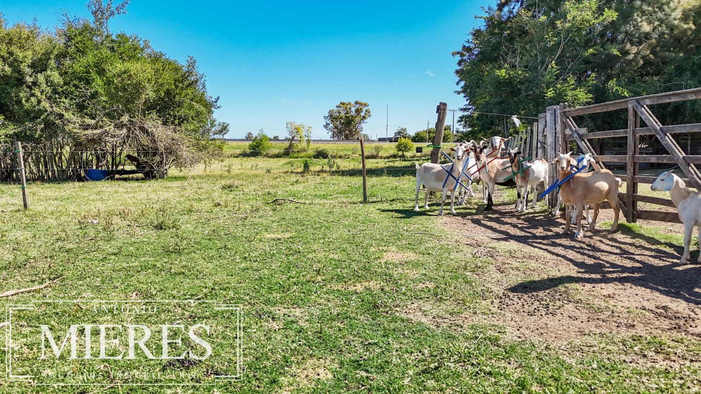 Quinta EN VENTA