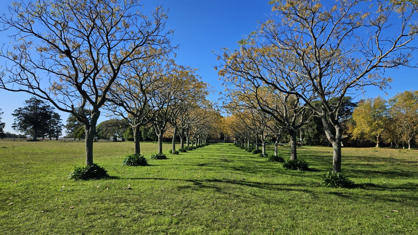 Campo EN VENTA