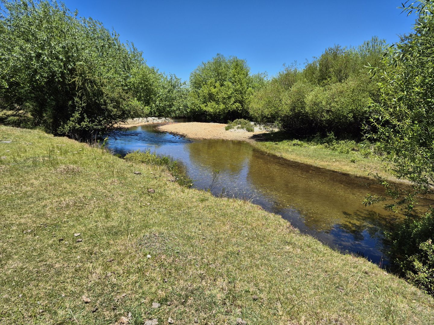 Campo EN VENTA