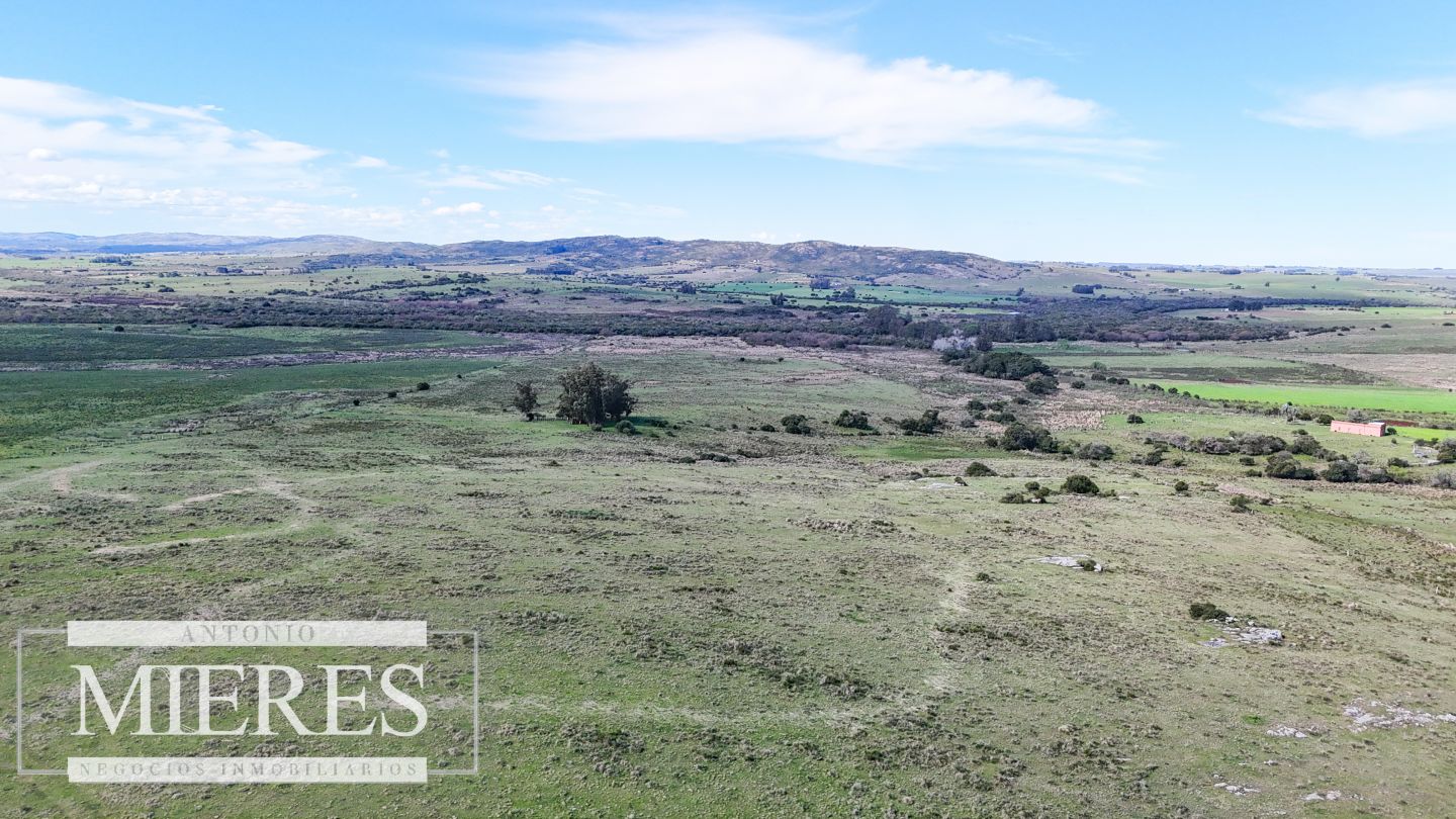 Campo EN VENTA