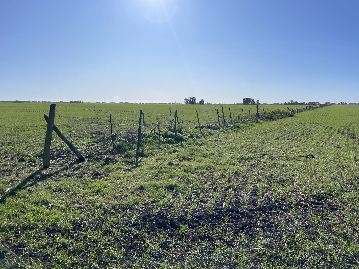 Campo EN VENTA