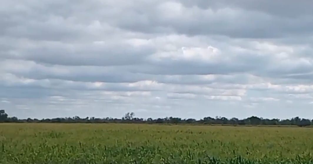 Campo EN VENTA