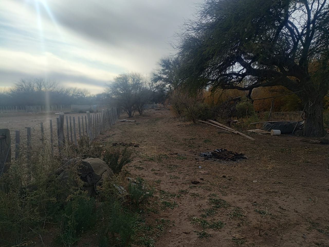 Campo EN VENTA