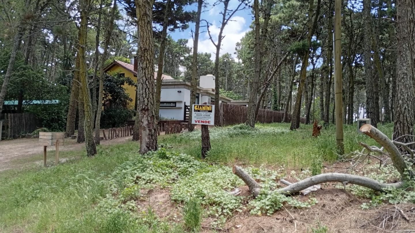 Lote EN VENTA