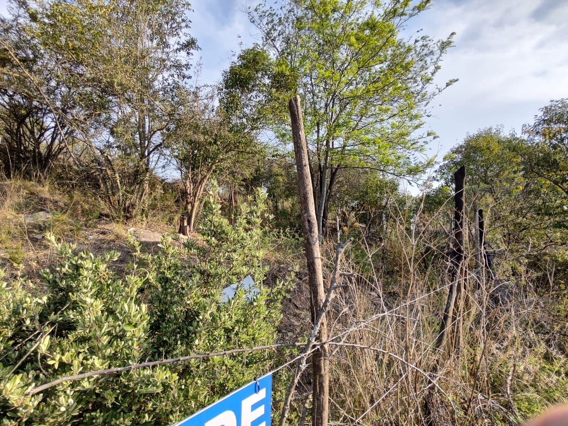 Lote EN VENTA